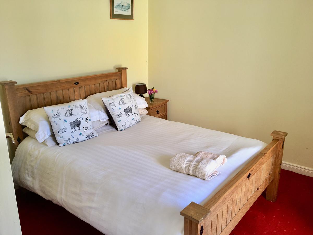 The Pier Bar , Cleggan Bed & Breakfast エクステリア 写真