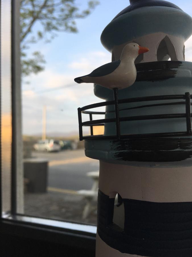 The Pier Bar , Cleggan Bed & Breakfast エクステリア 写真